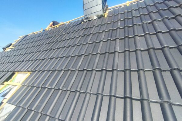 WhatsApp Image 2026-01-11 at 17.19.03 (11)