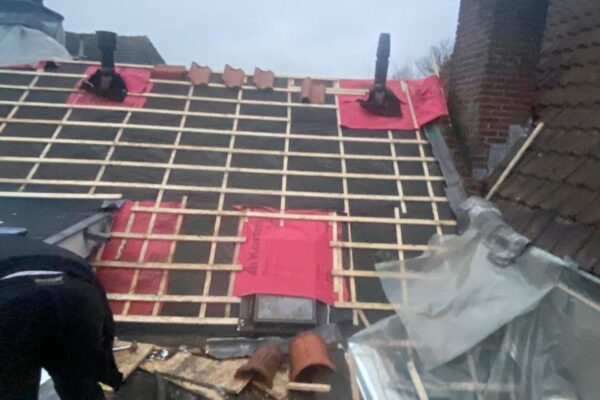 WhatsApp Image 2026-01-11 at 17.19.03 (4)