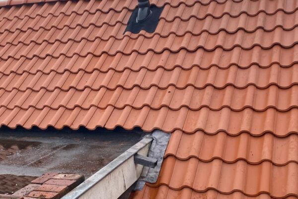 WhatsApp Image 2026-01-11 at 17.19.03 (5)