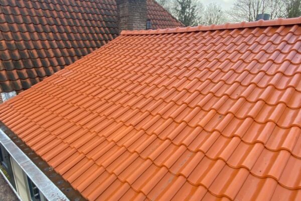 WhatsApp Image 2026-01-11 at 17.19.03 (6)