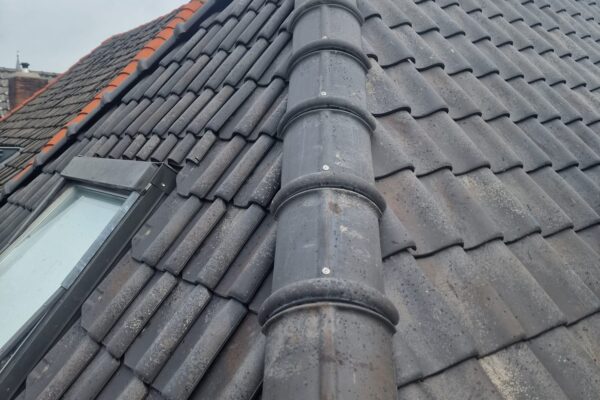 WhatsApp Image 2026-01-11 at 17.19.03 (7)