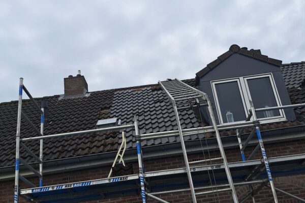 WhatsApp Image 2026-01-11 at 17.19.03 (9)