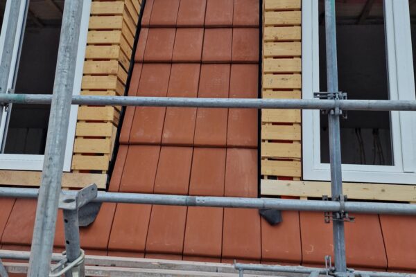 WhatsApp Image 2026-01-11 at 17.19.04 (1)